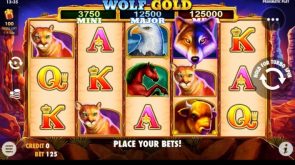 rich casino wolf gold slot