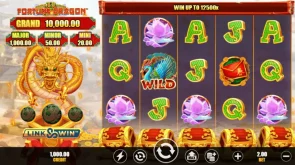 Fortune Dragon slot layout