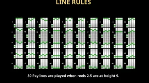 Wild link Riches paylines 9 rows